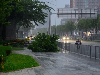 “风王”来袭 秋台风为何更凶？